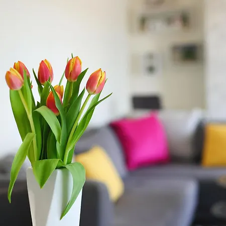 Luxury No 2 - Mit Terrasse Apartment